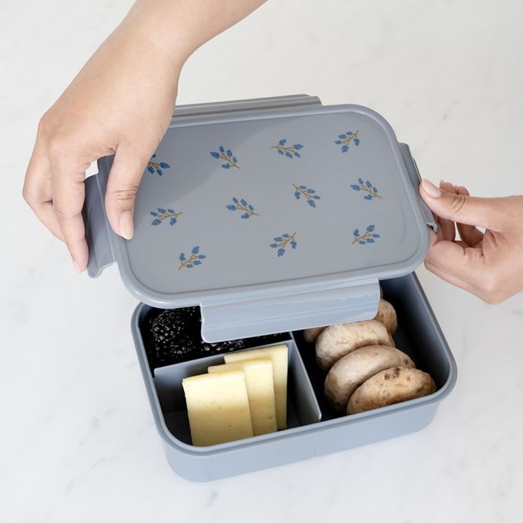 3 Sprouts, Bento, lunchbox, blueberry blue