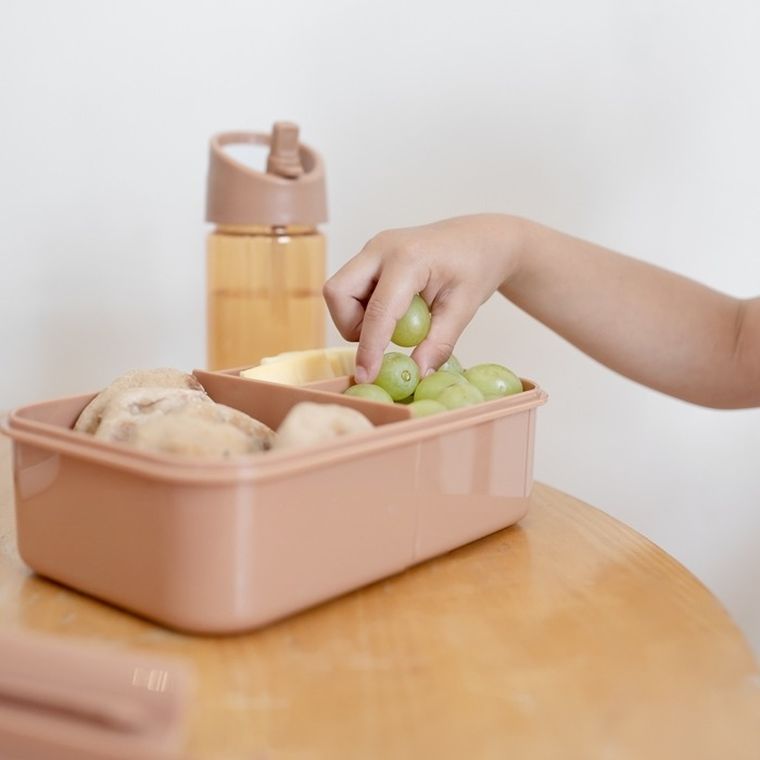 3 Sprouts, lunchbox bento, rust