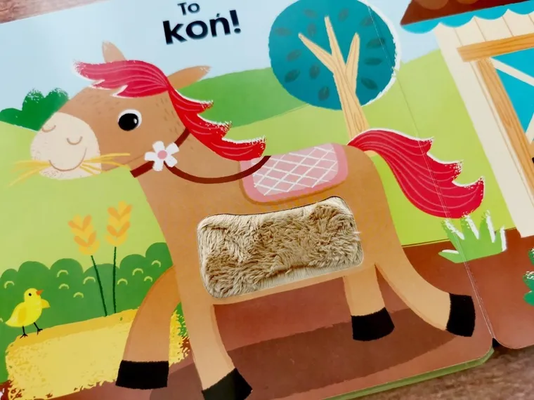 Akademia Mądrego Dziecka. Dotykam, zgaduję. Zwierzęta na wsi