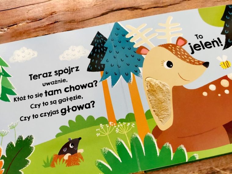 Akademia Mądrego Dziecka. Dotykam, zgaduję. Zwierzęta w lesie