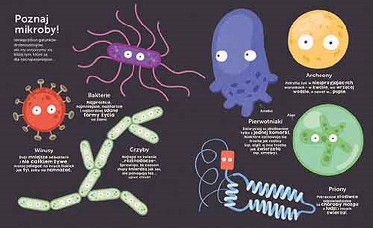 Akademia Mądrego Dziecka. Ja i moje mikroby. Chcę wiedzieć