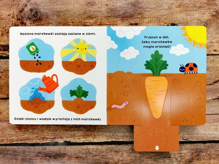 Akademia Mądrego Dziecka. Mój świat. Spójrz, jak rosnę!