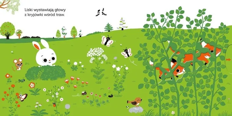 Akademia Mądrego Dziecka. Niesamowity spacer. Łąka