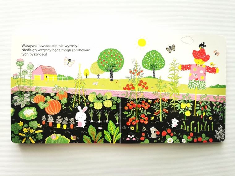 Akademia Mądrego Dziecka. Niesamowity spacer. Ogródek warzywny