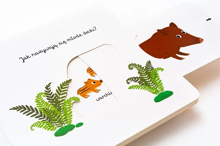 Akademia Mądrego Dziecka. Pierwsze słowa. W lesie