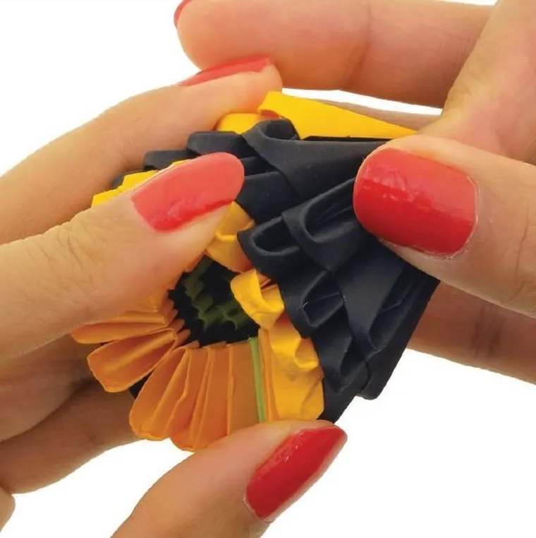 Alexander, Origami 3D, Ślimak