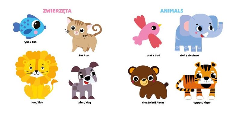 Angielskie słówka. Maluch poznaje