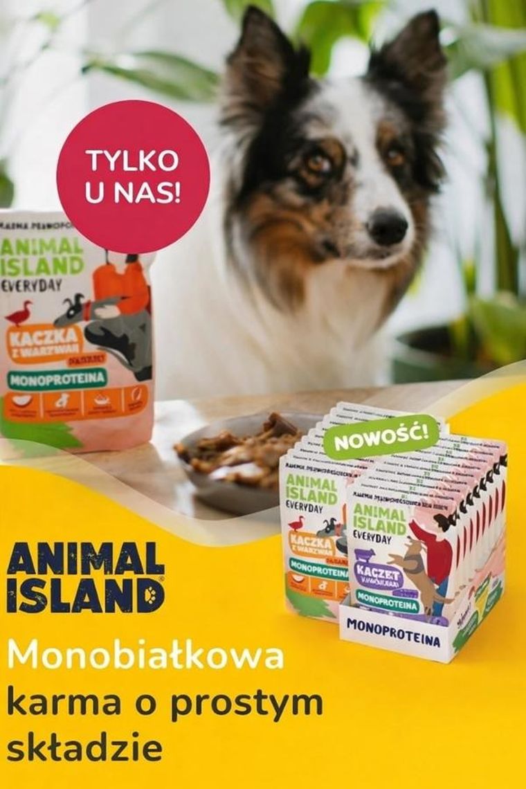 Animal Island, cielęcina/kaczka/indyk, monoproteinowa karma mokra dla psa, 300g, 9 szt.