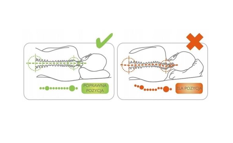 Antar, poduszka profilowana z pianki leniwej, AT03002