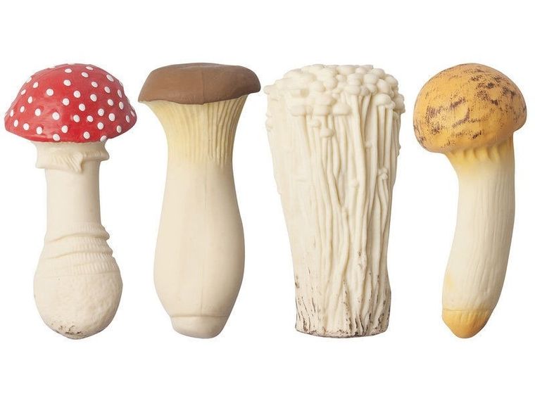 Antystresowy grzyb, enoki