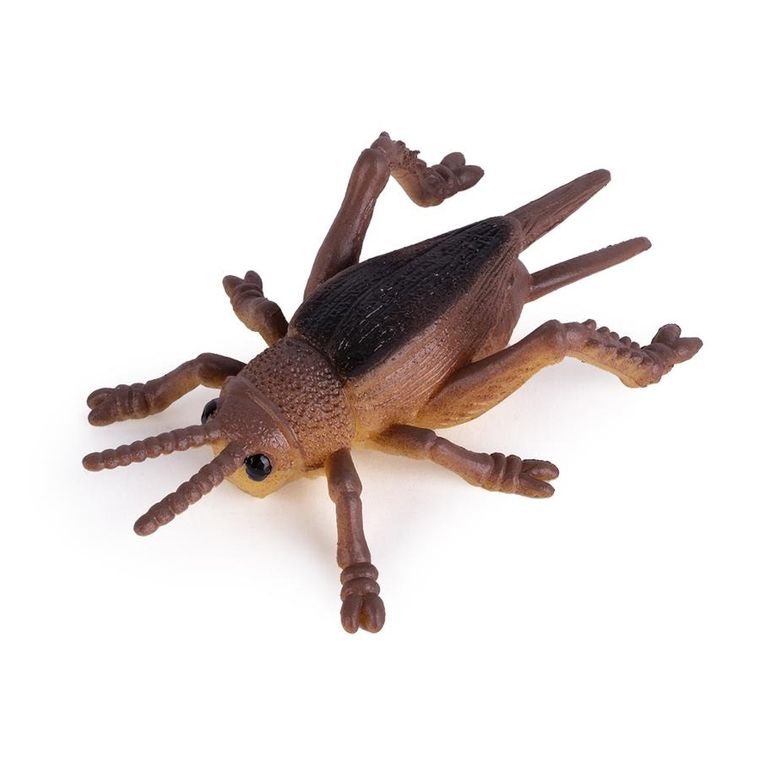 Apli Kids, Insekty, zestaw gniotków sensorycznych, 6 szt.