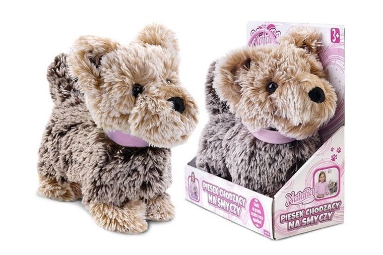 Artyk, Natalia, piesek chodzący na smyczy, brązowy