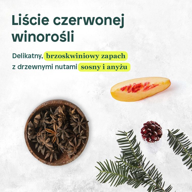 Attitude, odżywka do włosów farbowanych z olejkiem z awokado, 240 ml