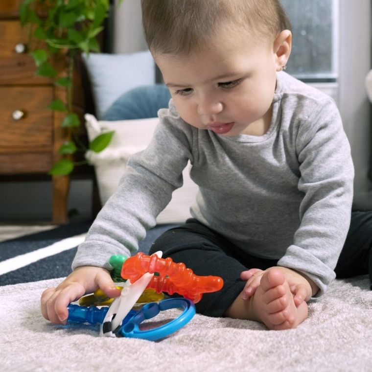 Baby Einstein, Ocean Explorers, Sea of Sensory, gryzak