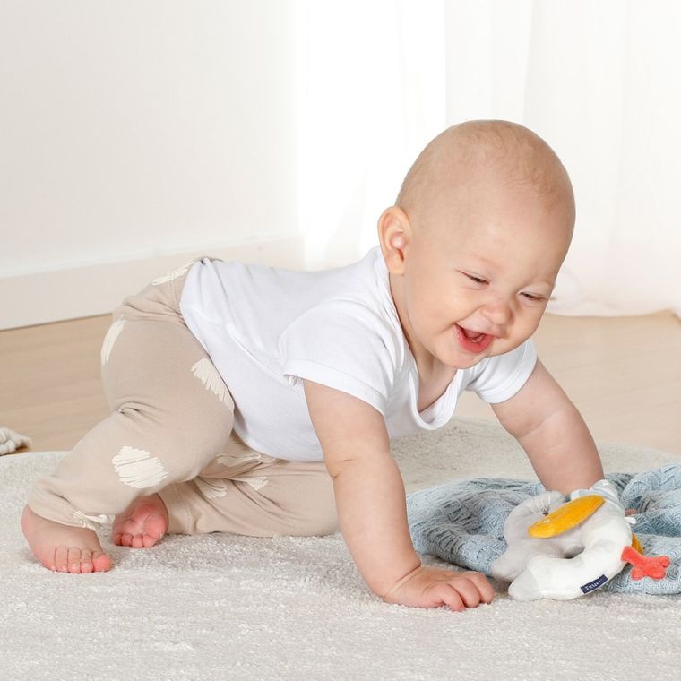 BabyFehn, Słoń, Dobranoc, maskotka z grzechotką, świecąca w ciemności