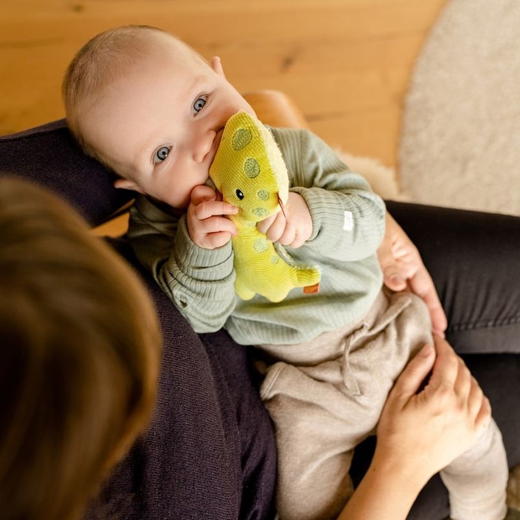 BabyFehn, Wesoły Dinozaur, zabawka do rączki