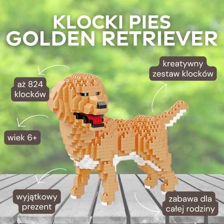 Balody, Golden Retriever, klocki konstrukcyjne, 824 elementów