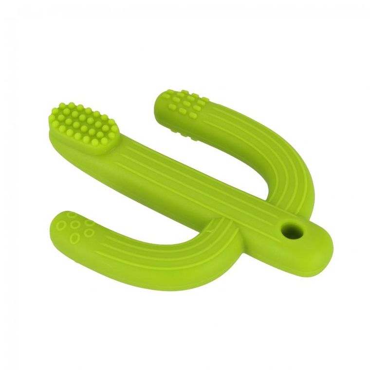 Bam Bam, Kaktus, gryzak, szczoteczka