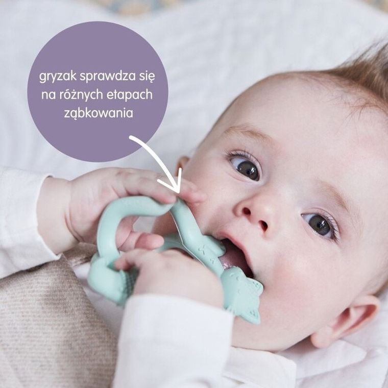 b.box, Lisek, gryzak na nadgarstek, blush