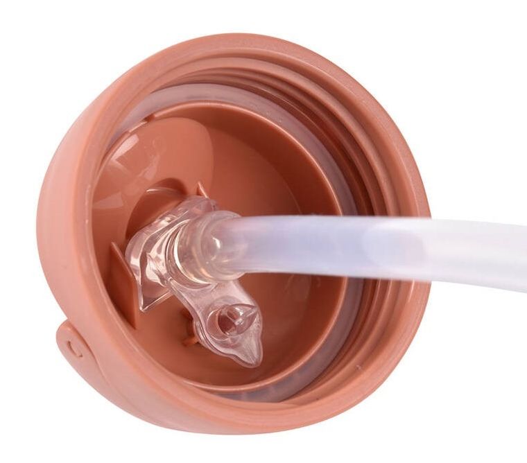 Beaba, bidon niekapek ze słomką, tritanowy, Terracotta, 300 ml