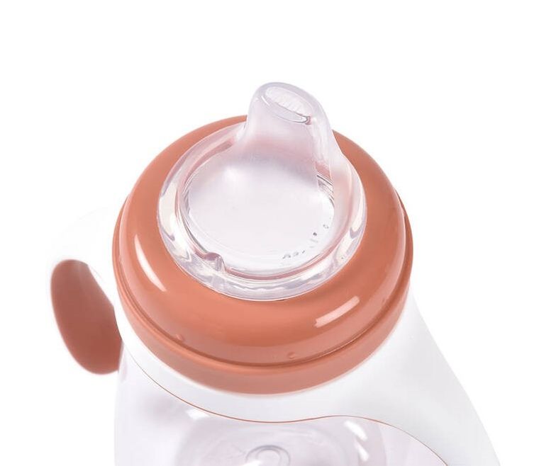 Beaba, butelka treningowa 2w1, tritanowa, terracotta, 210 ml