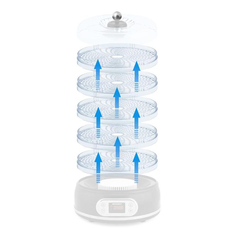 Berdsen, tacka do suszarki do grzybów i owoców, BD-691