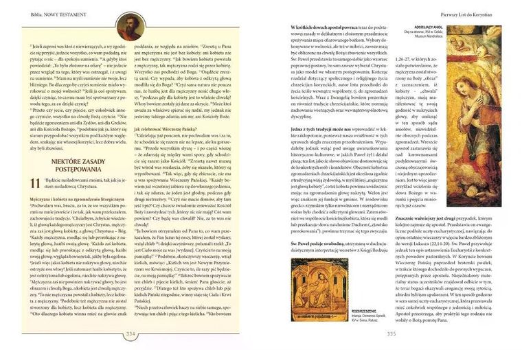 Biblia. Nowy Testament. Tekst, komentarz