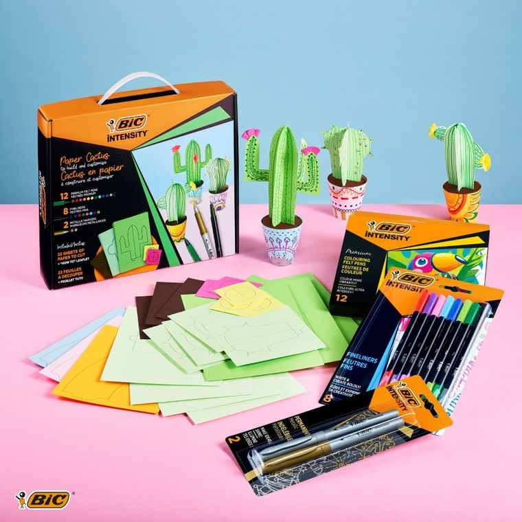 Bic, Intensity, Cactus, zestaw kreatywny