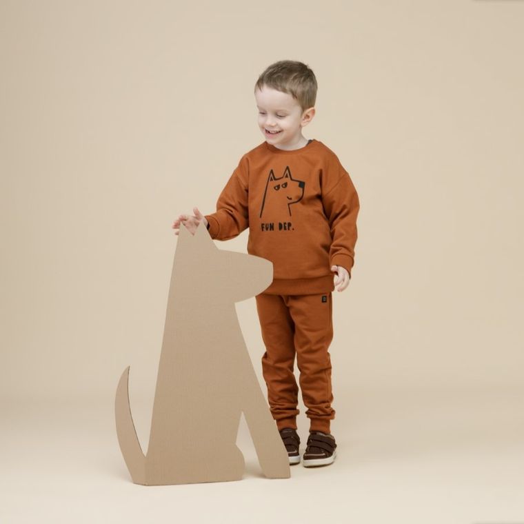 Bluza chłopięca, brązowa, Pinokio