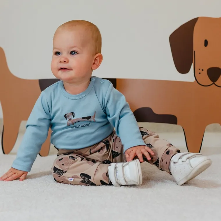 Bluza chłopięca, niebieska, Eevi