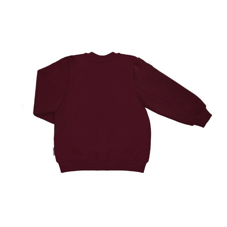 Bluza chłopięca, rozpinana, bordowa, Nicol