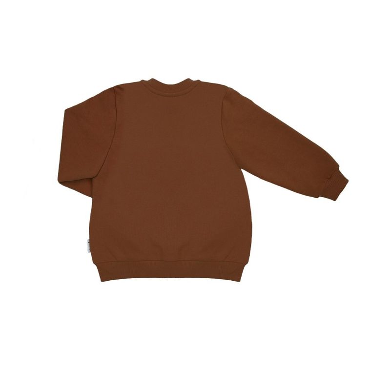 Bluza chłopięca, rozpinana, brązowa, Nicol