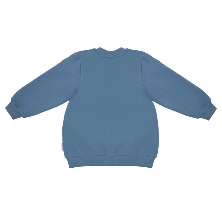 Bluza chłopięca, rozpinana, niebieska, Nicol