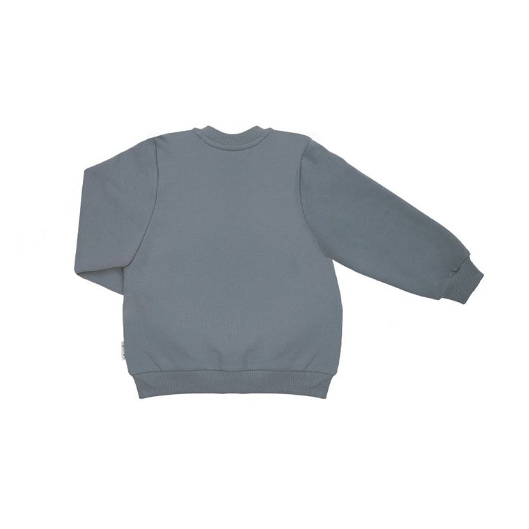 Bluza chłopięca, rozpinana, szara, Nicol