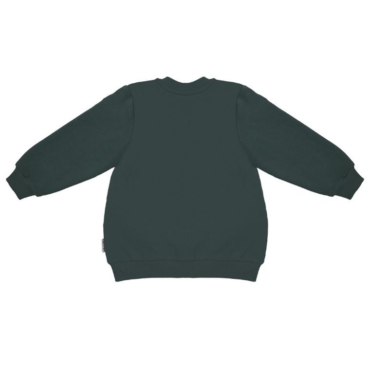 Bluza chłopięca, rozpinana, zielona, Nicol