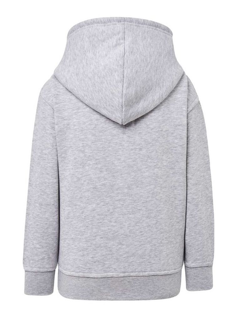 Bluza chłopięca z kapturem, szara, Tup Tup