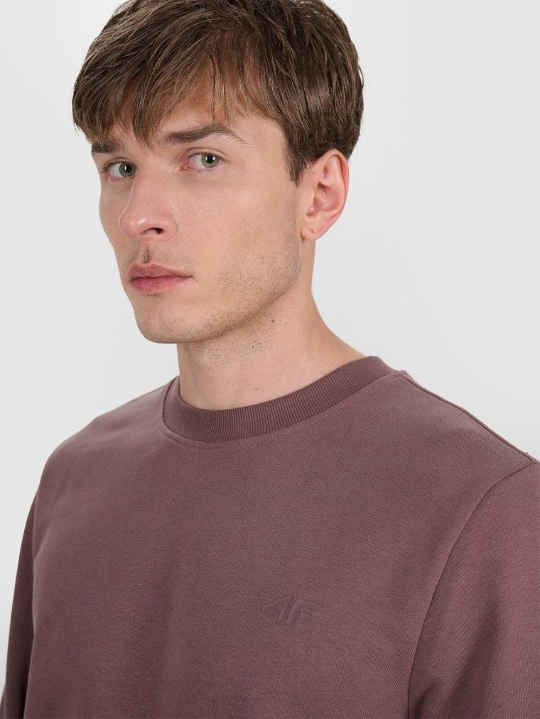 Bluza męska, brązowa, 4F