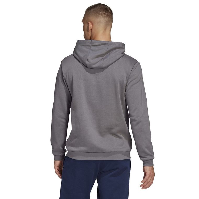 Bluza męska z kapturem, szara, Adidas Entrada 22 Hoody