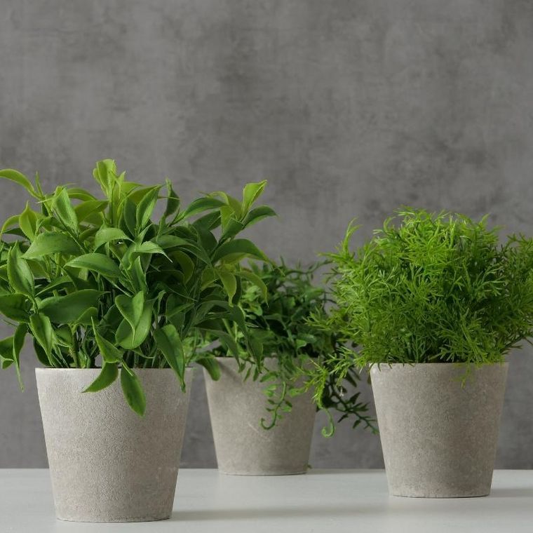 Boltze Home, Fern, sztuczna roślina w cementowej doniczce, 17 cm