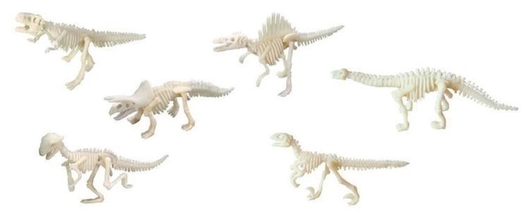 Bones&More, Duży szkielet dinozaura, wykopalisko, odcisk łapy