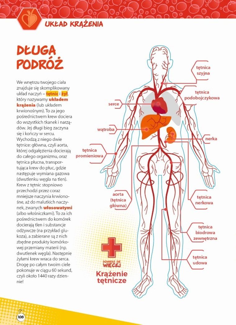 Było sobie życie. Encyklopedia dla dzieci. Tajemnice ludzkiego ciała