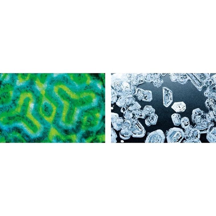 Clementoni, Naukowa Zabawa, Mikroskop, zestaw edukacyjny