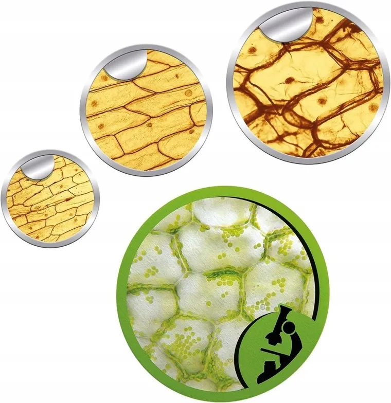 Clementoni, Naukowa Zabawa, Mikroskop, zestaw edukacyjny