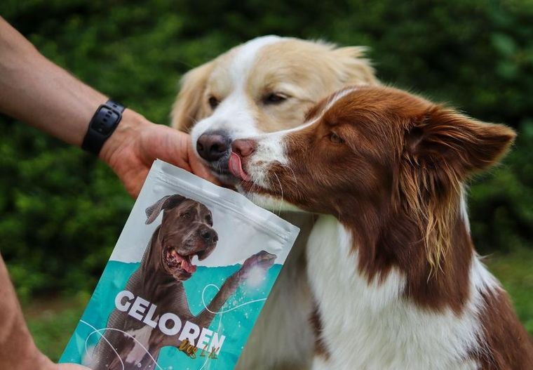Contipro, Geloren Large Dog, suplement dla psa, 420g