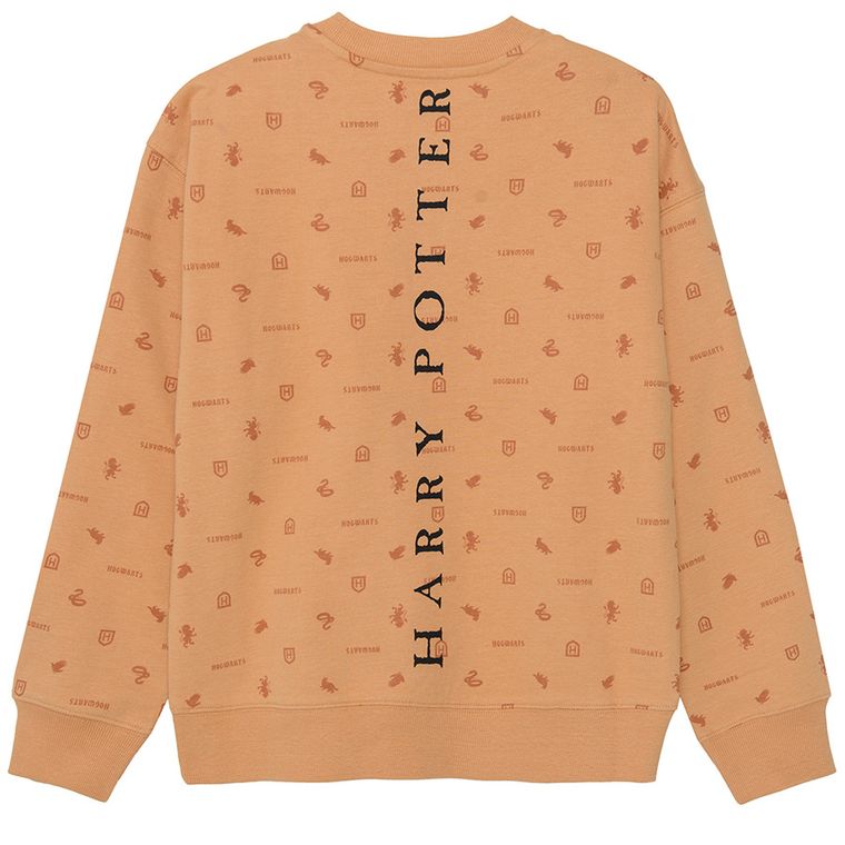 Cool Club, Bluza chłopięca, pomarańczowa, Harry Potter