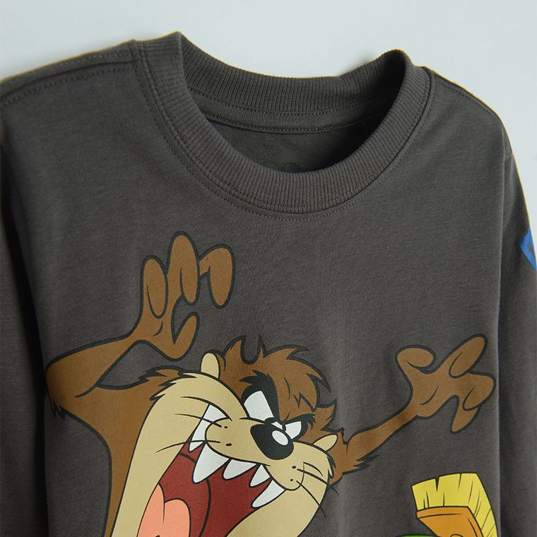 Cool Club, Bluzka chłopięca z długim rękawem, mix, Warner Bros, zestaw, 2 szt.