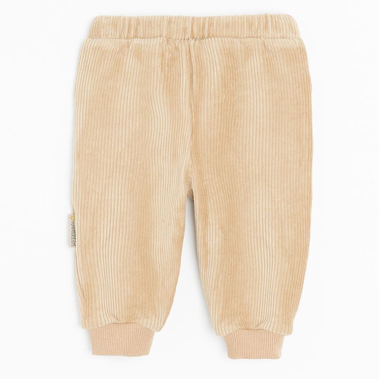 Cool Club, Spodnie dresowe chłopięce, welurowe, brązowe, Snoopy