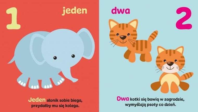 Cyferki. Książeczka edukacyjna