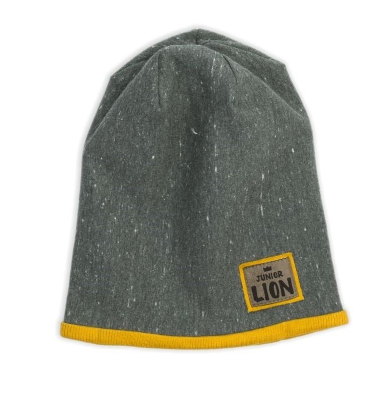Czapka chłopięca, grafitowa, Junior Lion, Nicol