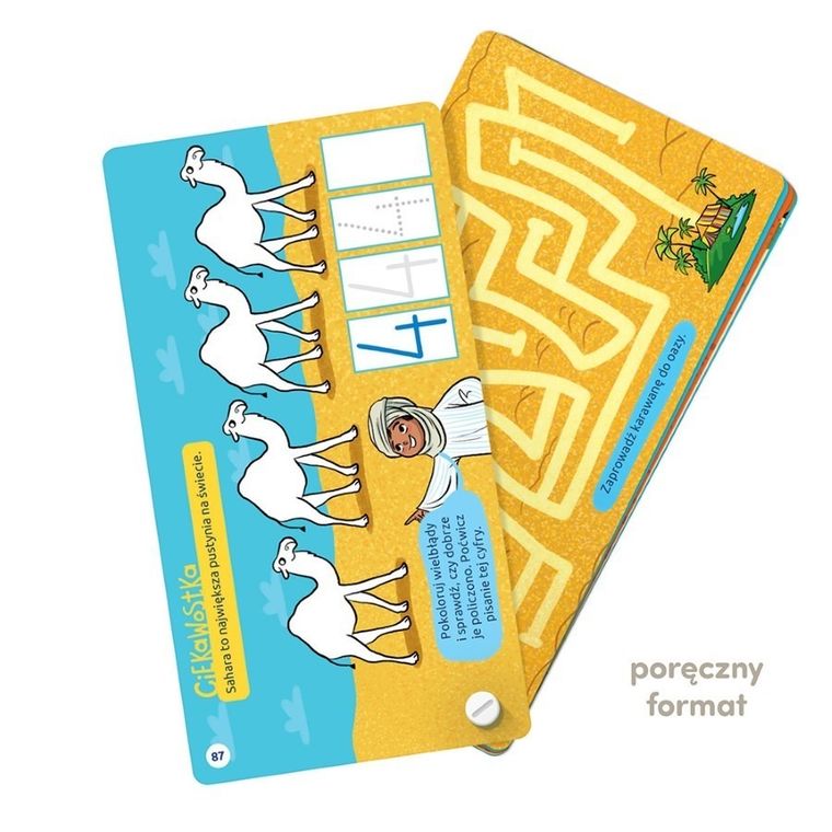 CzuCzu, Fantastyczne gry logiczne 4+